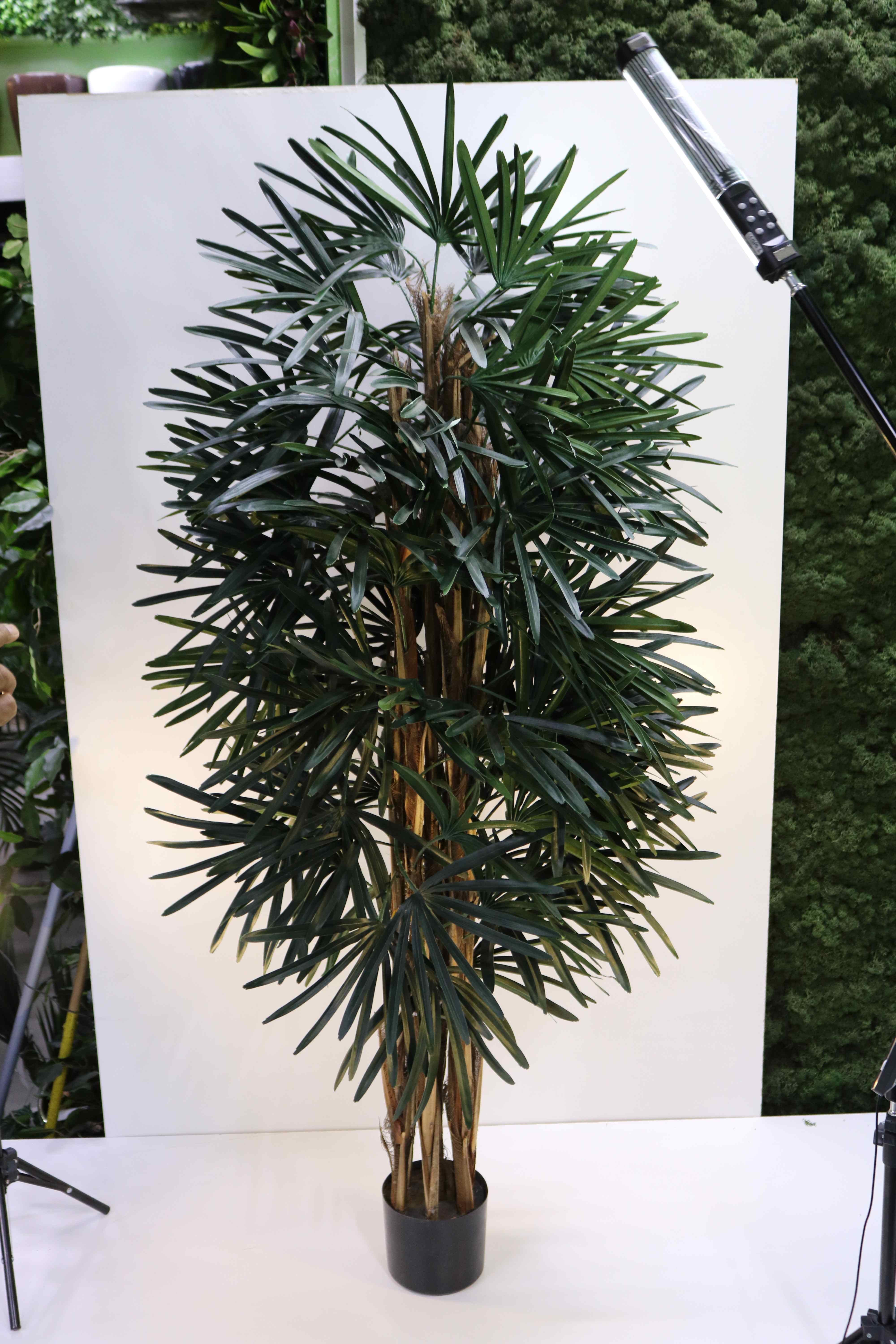 RHAPIS PALM 180 CM Artificial Plants