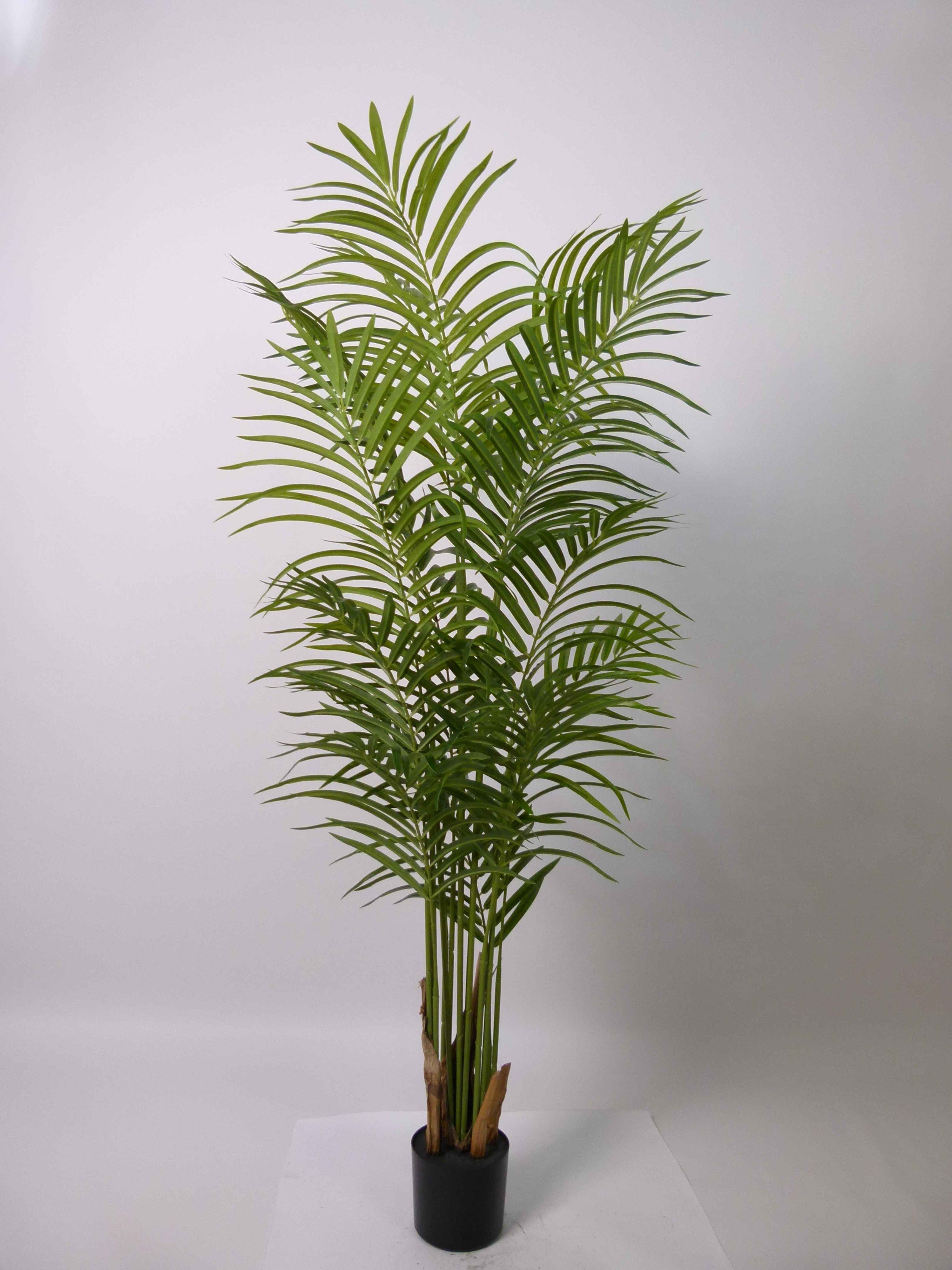 LADY PALM 140 CM Artificial Plants
