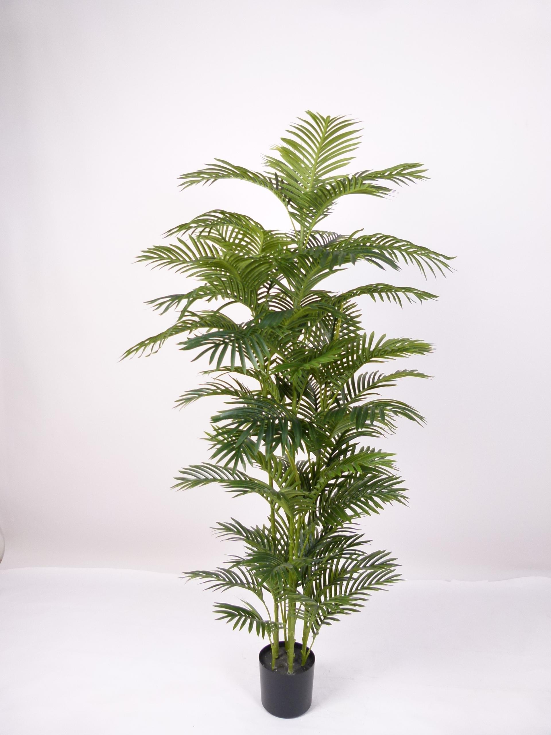 MINI PALM WITH PLASTIC TRUNK 180 CM Artificial Plants