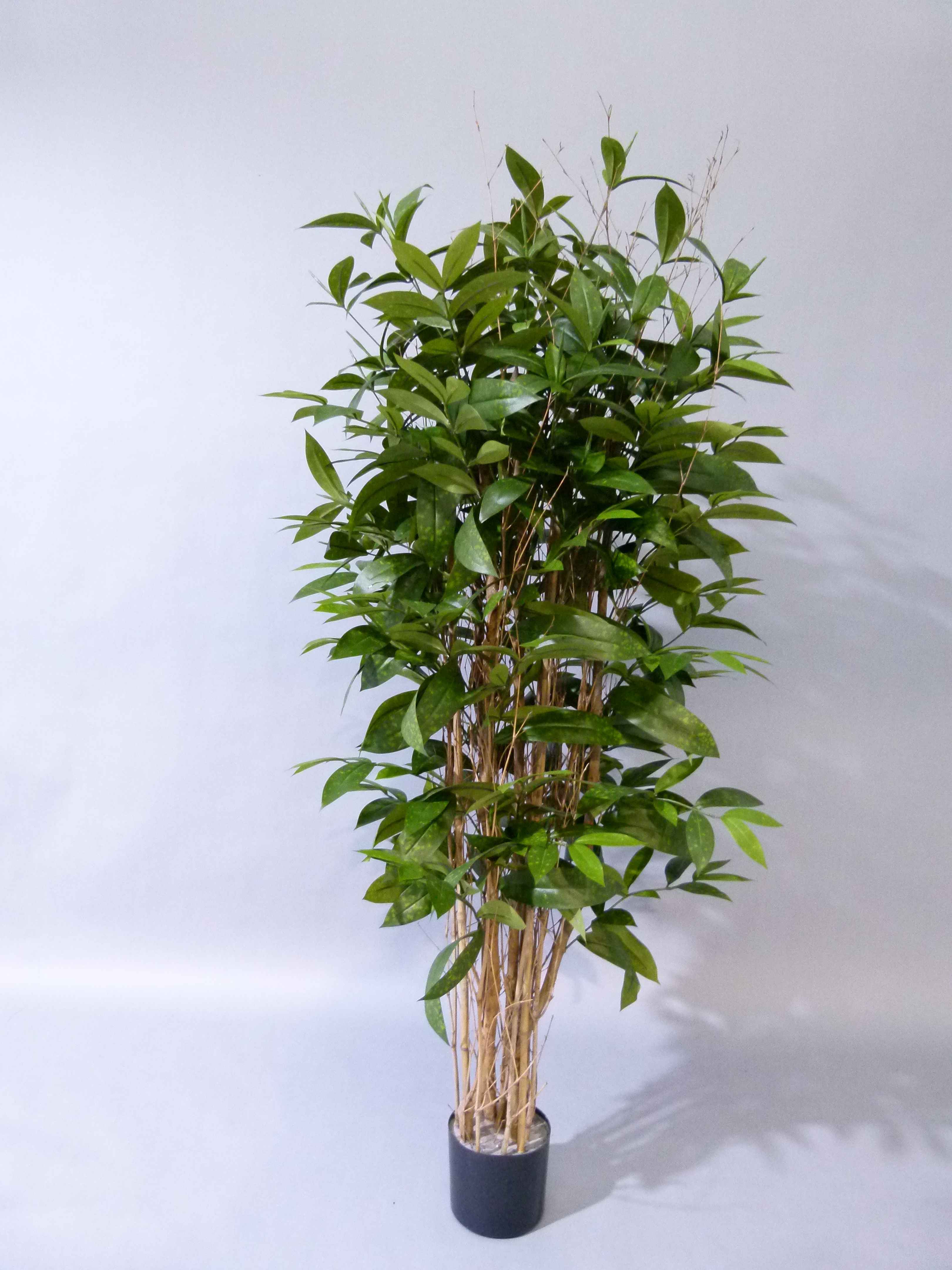 DRACAENA SURCULOSA 150 CM Artificial Plants