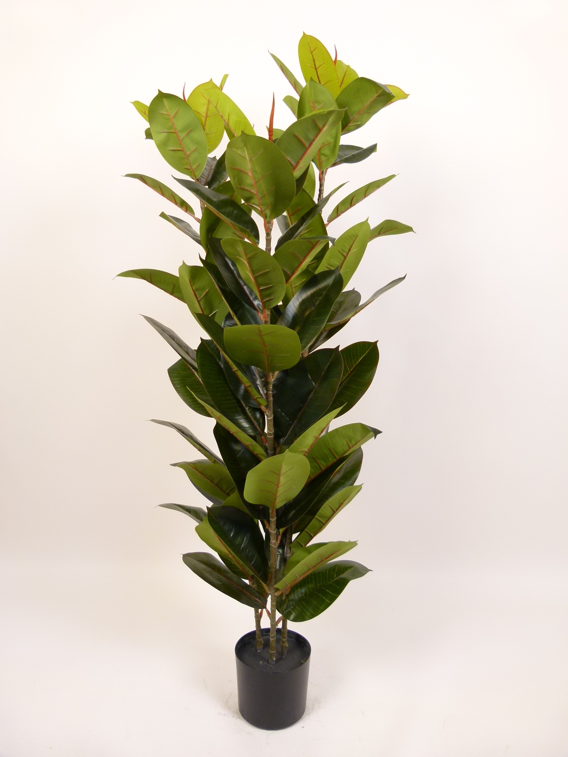 RUBBER TREE 150 CM Artificial Plants