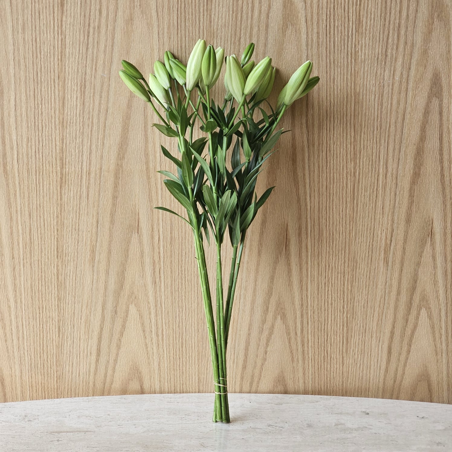 Lilium Close White 'Wholesale Flowers'