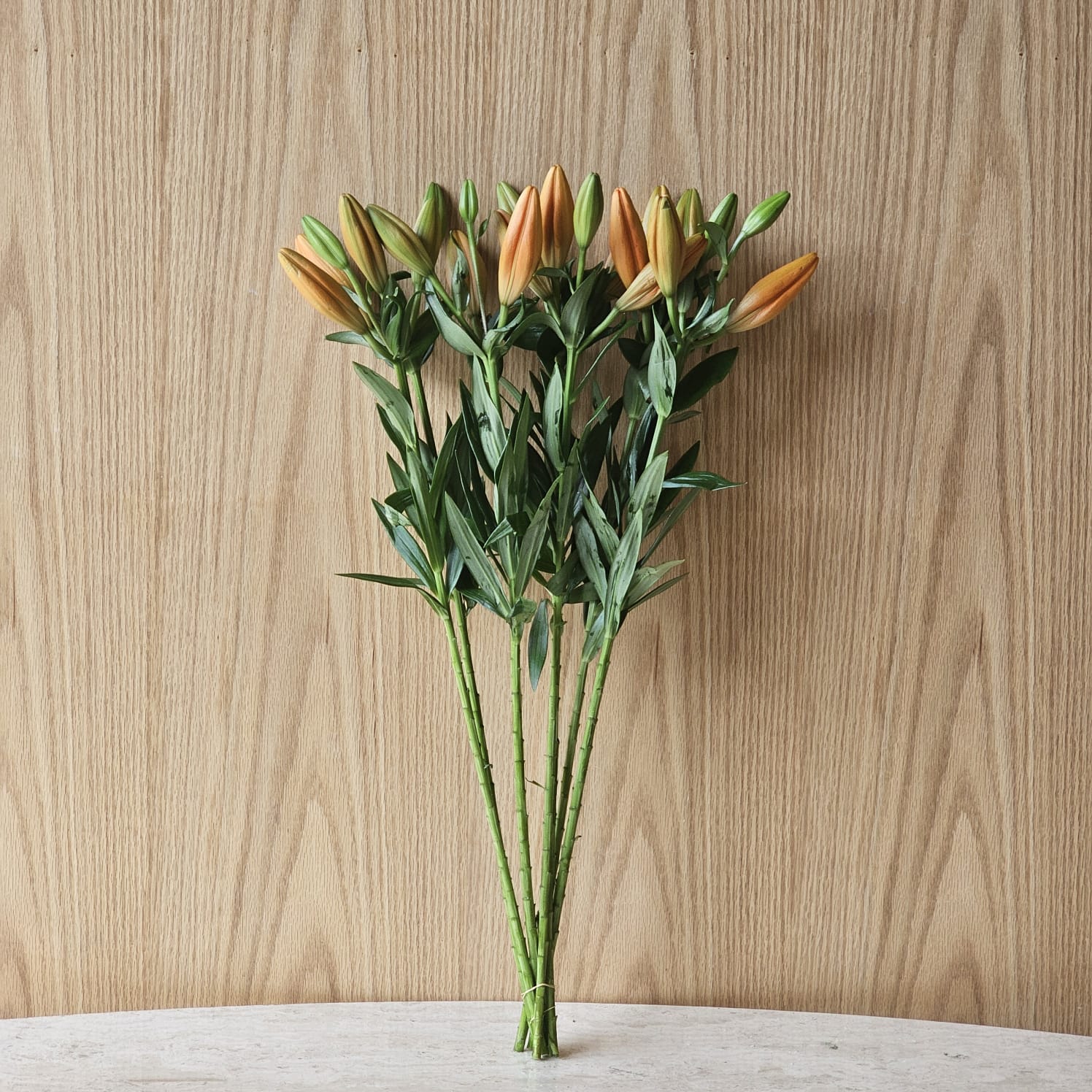 Liliums  Close Orange 'Wholesale Flowers'